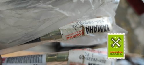 IMG_20230828_104457